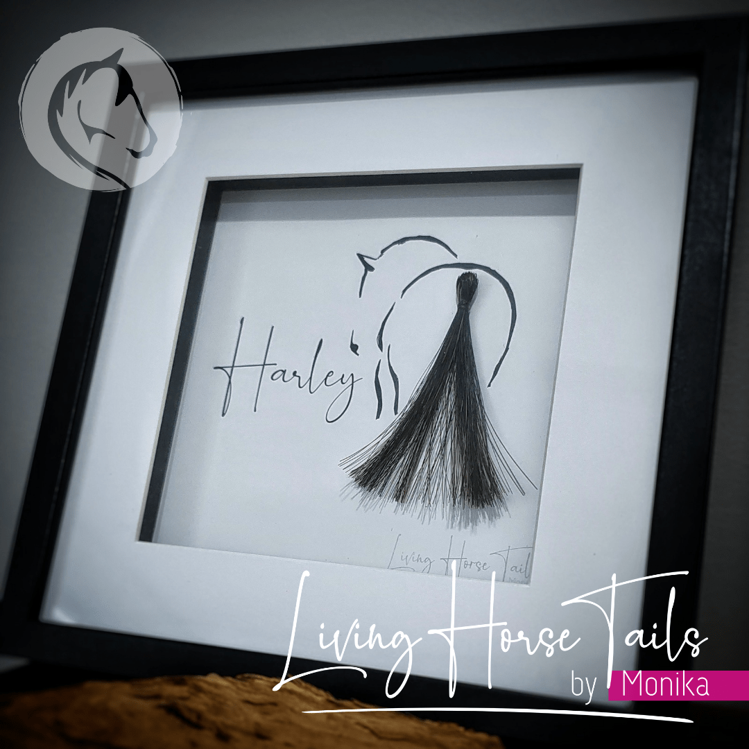 Living Horse Tails Shadow Box Keepsake with Horsehair Custom jewellery Monika Australia horsehair keepsake