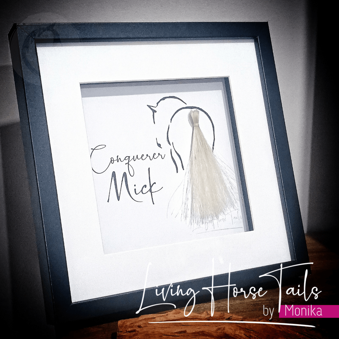 Living Horse Tails Shadow Box Keepsake with Horsehair Custom jewellery Monika Australia horsehair keepsake