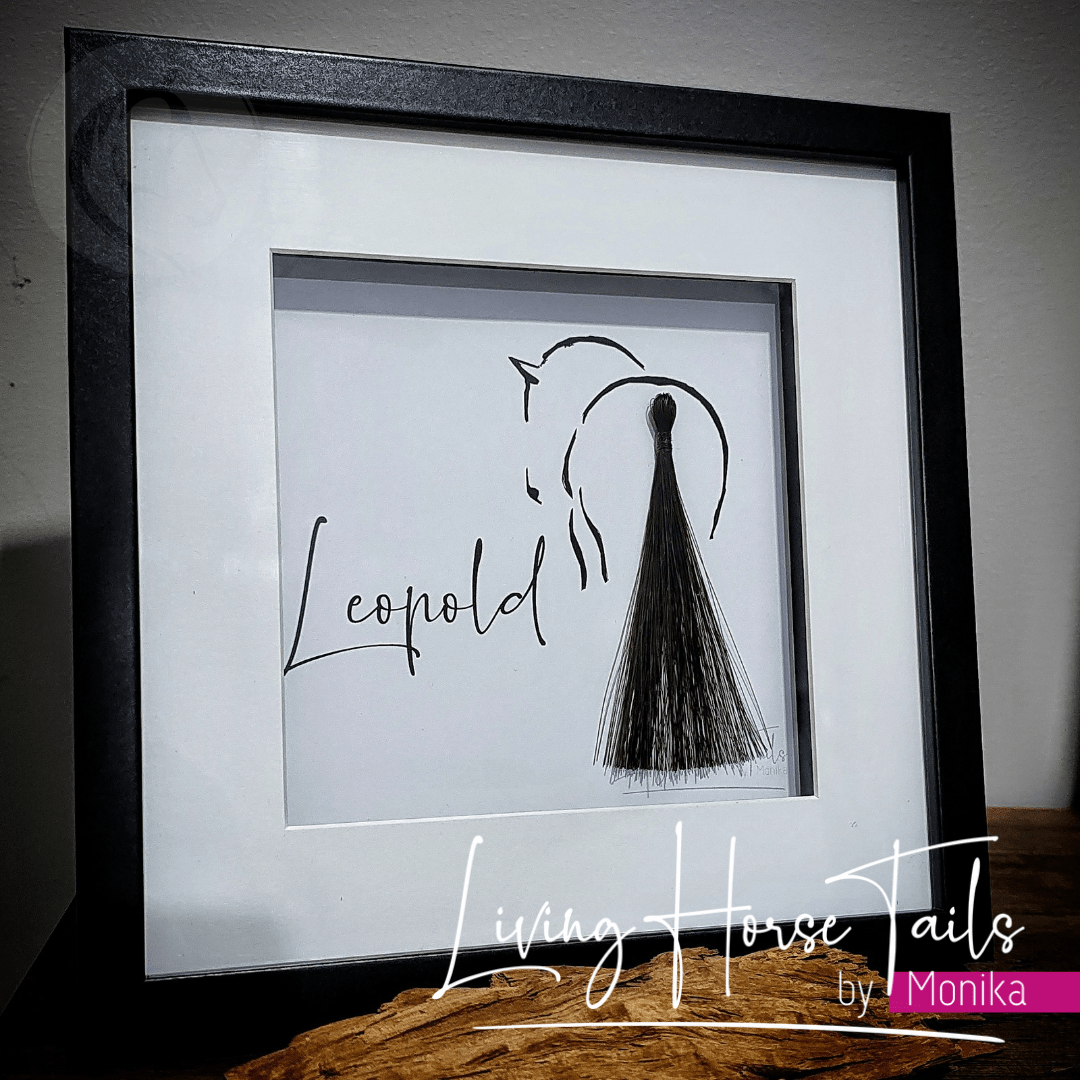 Living Horse Tails Shadow Box Keepsake with Horsehair Custom jewellery Monika Australia horsehair keepsake