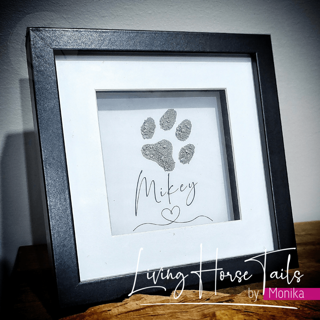 Living Horse Tails Shadow Box Pet Memorial Keepsake with ashes Custom jewellery Monika Australia horsehair keepsake