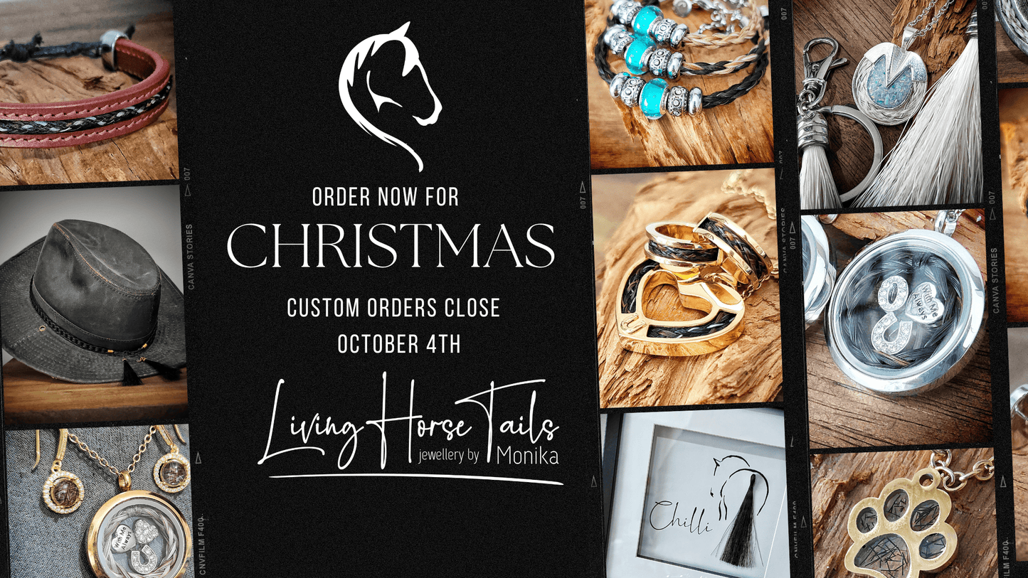 🎄LAST CHANCE to order for Christmas!🎄