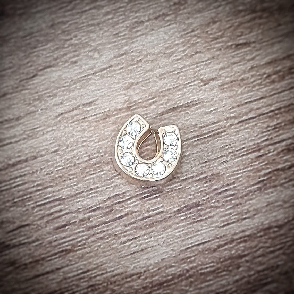 Living Horse Tails DIY Kit Extras - Locket Charms Custom jewellery Monika Australia horsehair keepsake