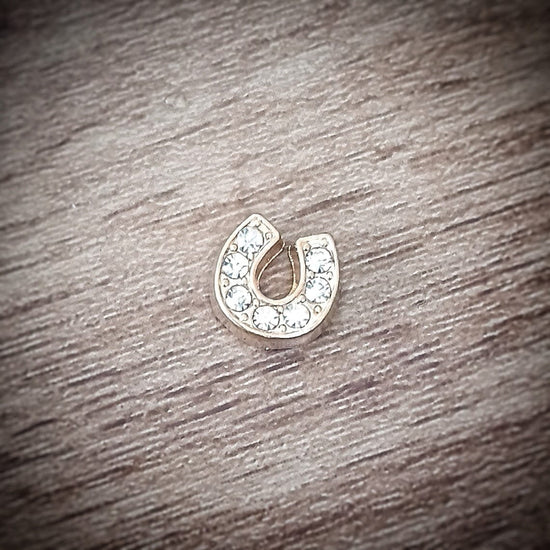 Living Horse Tails DIY Kit Extras - Locket Charms Custom jewellery Monika Australia horsehair keepsake