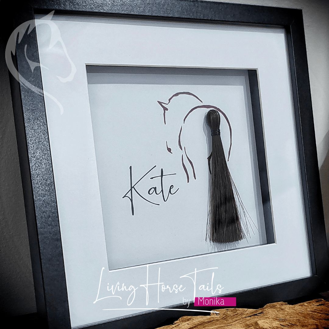 Living Horse Tails Shadow Box Keepsake with Horsehair Custom jewellery Monika Australia horsehair keepsake