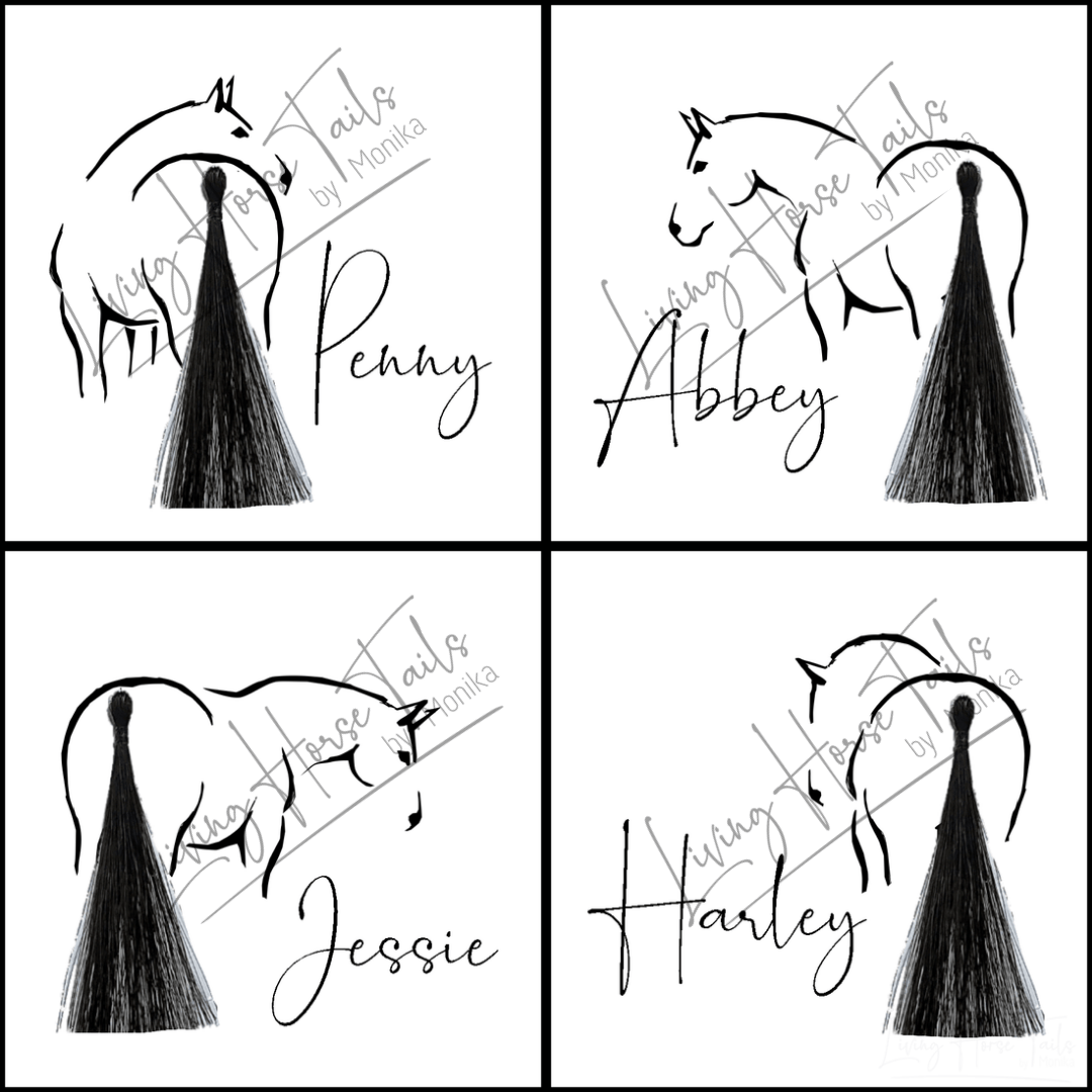 Living Horse Tails Shadow Box Keepsake with Horsehair Custom jewellery Monika Australia horsehair keepsake