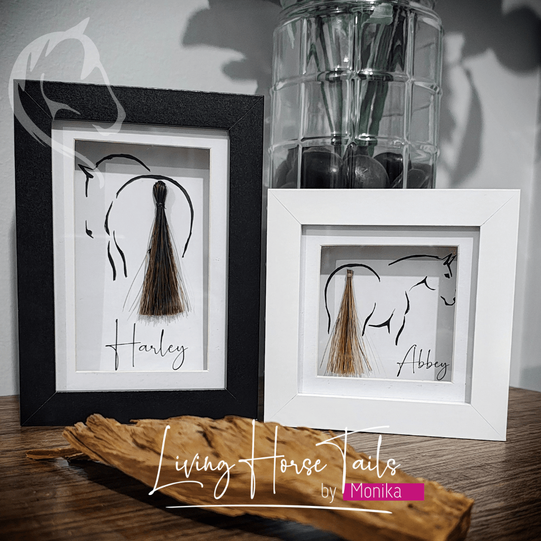 Living Horse Tails Shadow Box Picture Frame Keepsake with Horsehair Custom jewellery Monika Australia horsehair keepsake