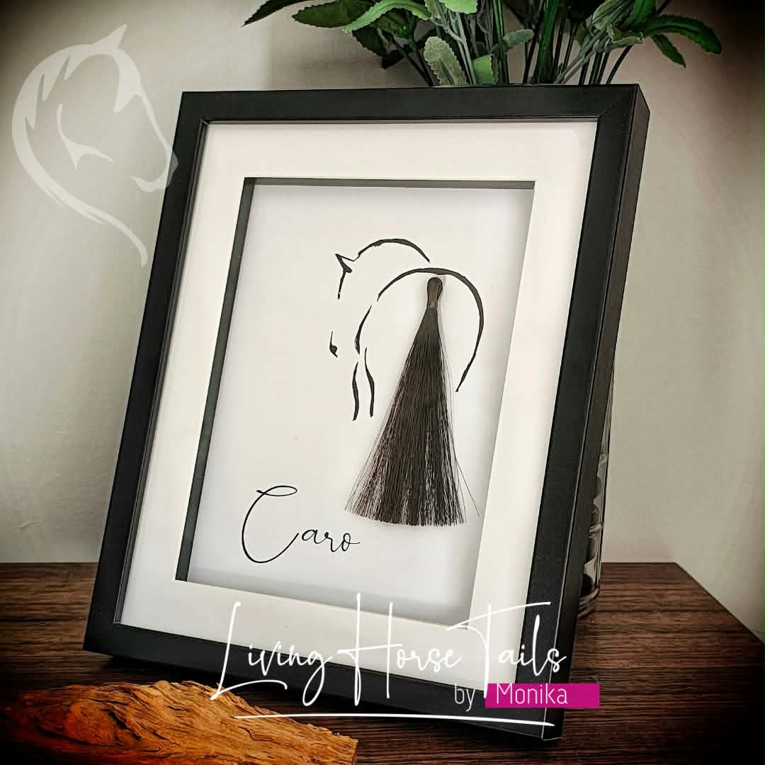 Living Horse Tails Shadow Box Picture Frame Keepsake with Horsehair Custom jewellery Monika Australia horsehair keepsake