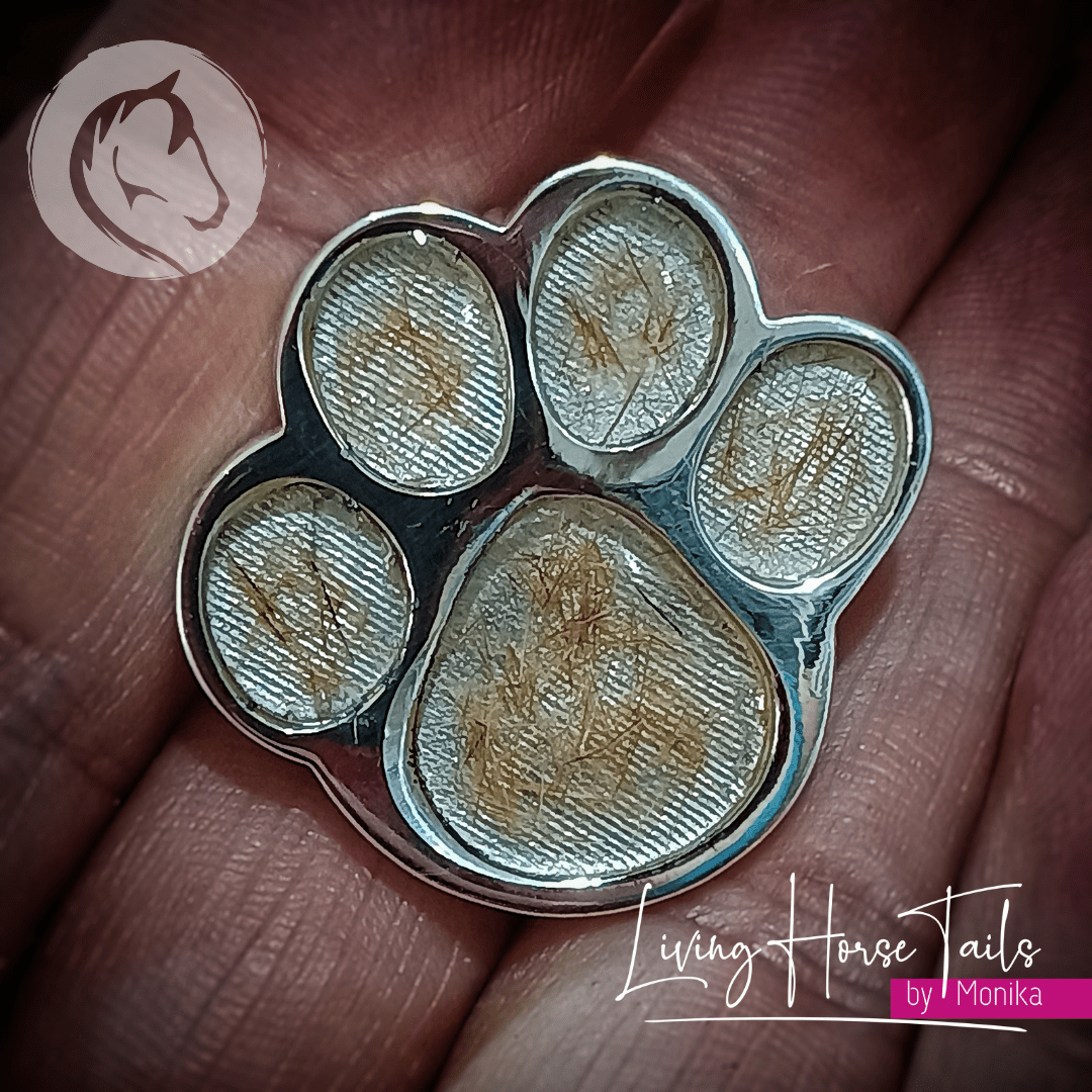 Living Horse Tails Sterling Silver Resin Paw Brooch Pin inlaid with Pet hair Custom jewellery Monika Australia horsehair keepsake