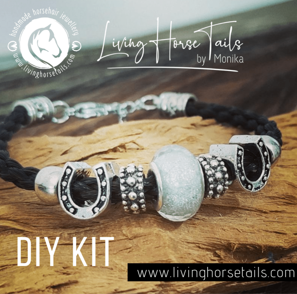 DIY Kit for Horsehair Bracelet. Make your own Style L